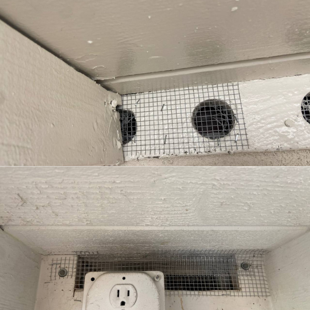 Sealed rodent access along eave gap