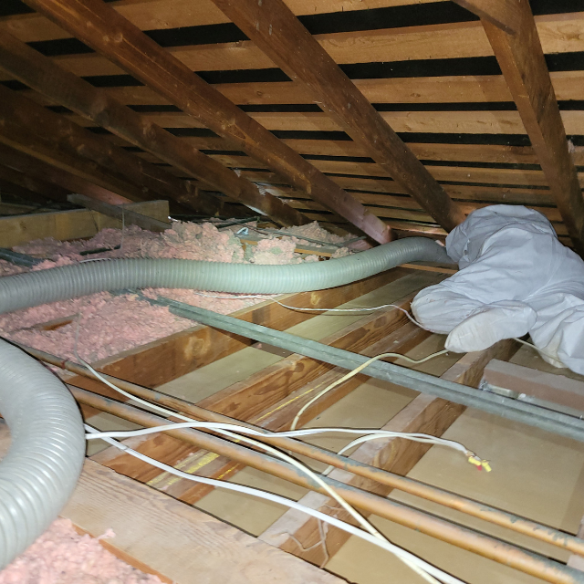 RodentXperts technician on site